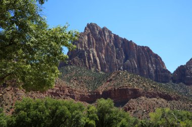 Utah / USA - August 22, 2015: The mountains landscape in Zion National Park, Utah, USA