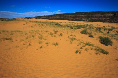 Utah / USA - August 22, 2015: Sand and dunes area in Coral Pink Sand Dunes State Park, Utah, USA