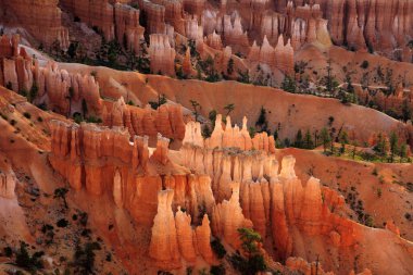 Utah / Usa - 22 Ağustos 2015: Bryce Canyon Ulusal Parkı, Utah, Usa 'daki Sunset Point' te renkli büyü ve kaya oluşum detayları