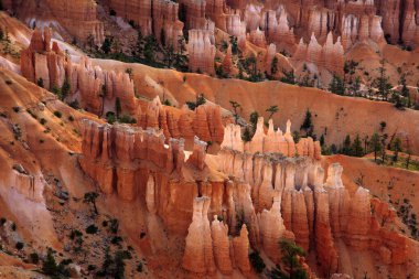 Utah / Usa - 22 Ağustos 2015: Bryce Canyon Ulusal Parkı, Utah, Usa 'daki Sunset Point' te renkli büyü ve kaya oluşum detayları