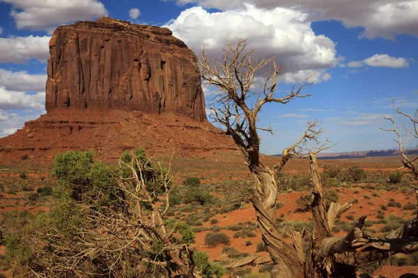 Utah Arizona Usa August 2015 Monument Valley Navajo Tribal Reservation — Stockfoto