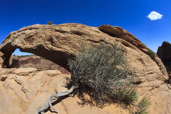 Utah Usa August 2015 Rock Arc Island Sky Canyolands National — Stock Photo, Image