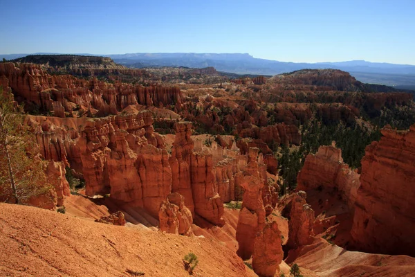 Utah Usa August 2015 View Hoodoo Rock Formationat Bryce Point — Stock Fotó