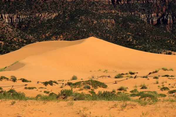 Utah Usa August 2015 Sand Dunes Area Coral Pink Sand — Zdjęcie stockowe