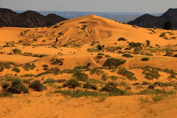 Utah États Unis Août 2015 Sable Dunes Dans Parc National — Photo