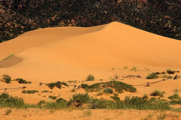 Utah États Unis Août 2015 Sable Dunes Dans Parc National — Photo