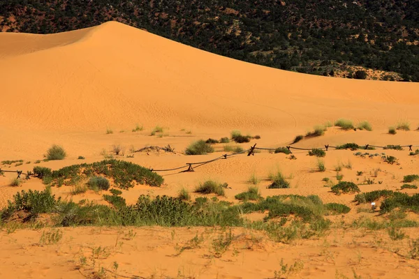 Utah Estados Unidos Agosto 2015 Zona Dunas Arena Coral Pink — Foto de Stock