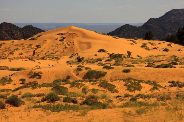 Utah Usa August 2015 Sand Dunes Area Coral Pink Sand — Zdjęcie stockowe