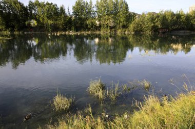 Anchorage, Alaska / Usa - 08 Ağustos 2019: Anchorage, Anchorage, Alaska, Usa