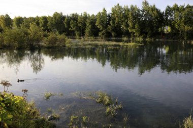 Anchorage, Alaska / Usa - 08 Ağustos 2019: Anchorage, Anchorage, Alaska, Usa