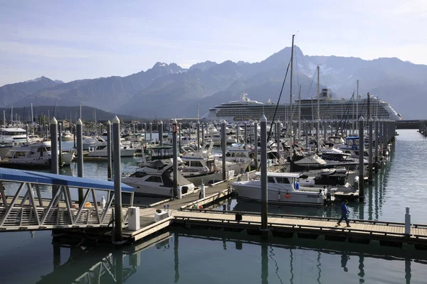 Seward Alaska Usa August 2019 Seward Port Seward Alaska Usa — Stock Photo, Image