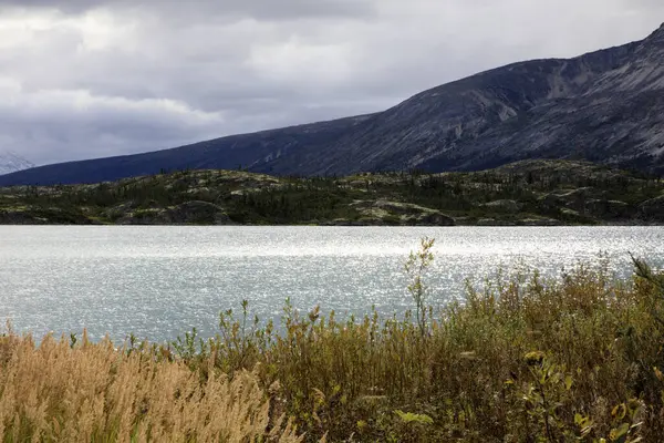 Skagway Alaska Usa Ağustos 2019 Beyaz Geçiş Manzarası Skagway Alaska — Stok fotoğraf