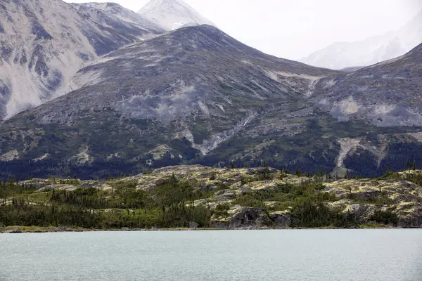 Skagway Aljaška Usa Srpna 2019 Výhled Krajiny Bílým Průsmykem Skagway — Stock fotografie