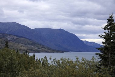 Yukon, Kanada / Usa - 10 Ağustos 2019: Yukon manzara manzarası, Yukon, Kanada, Usa