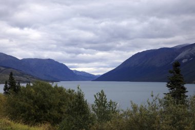 Yukon, Kanada / Usa - 10 Ağustos 2019: Yukon manzara manzarası, Yukon, Kanada, Usa