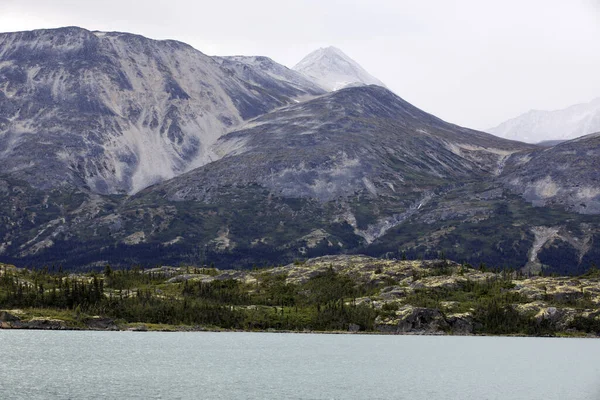 Skagway Alaska Usa August 2019 Blick Auf Den Weißen Pass — Stockfoto