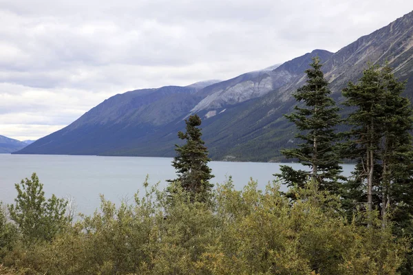 Yukon Kanada Usa Ağustos 2019 Yukon Manzara Manzarası Yukon Kanada — Stok fotoğraf