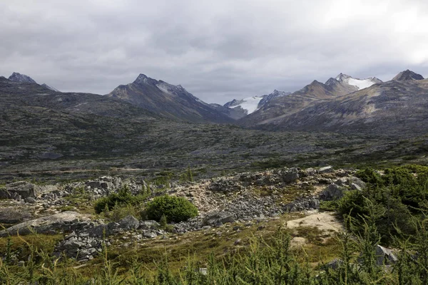 Skagway Alaska Usa Augusti 2019 Vitt Passlandskap Skagway Alaska Usa — Stockfoto