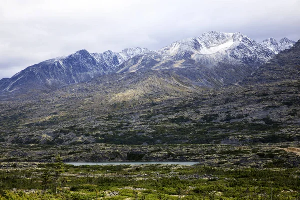 Skagway Alaska Usa August 2019 Blick Auf Den White Pass — Stockfoto