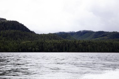 Neets Bay, Alaska / Usa - 18 Ağustos 2019: Neets Bay kıyı şeridi manzarası, Neets Bay, Alaska, Usa