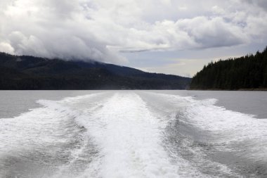 Neets Bay, Alaska / Usa - 18 Ağustos 2019: Neets Bay kıyı şeridi manzarası, Neets Bay, Alaska, Usa