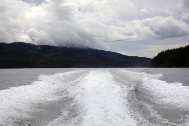 Neets Bay, Alaska / Usa - 18 Ağustos 2019: Neets Bay kıyı şeridi manzarası, Neets Bay, Alaska, Usa