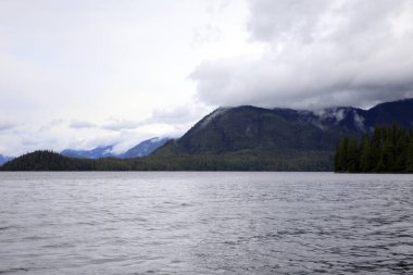Neets Bay, Alaska / Usa - 18 Ağustos 2019: Neets Bay kıyı şeridi manzarası, Neets Bay, Alaska, Usa