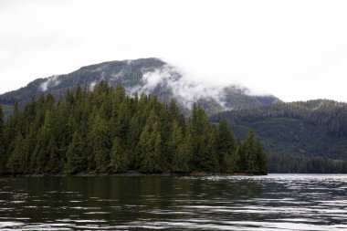 Neets Bay, Alaska / Usa - 18 Ağustos 2019: Neets Bay kıyı şeridi manzarası, Neets Bay, Alaska, Usa