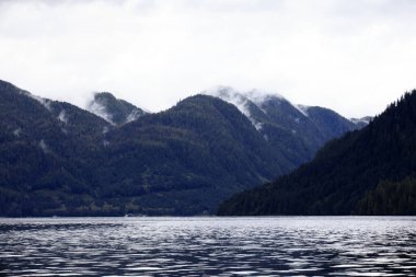 Neets Bay, Alaska / Usa - 18 Ağustos 2019: Neets Bay kıyı şeridi manzarası, Neets Bay, Alaska, Usa