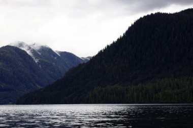 Neets Bay, Alaska / Usa - 18 Ağustos 2019: Neets Bay kıyı şeridi manzarası, Neets Bay, Alaska, Usa
