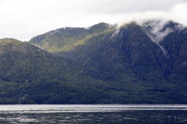 Neets Bay, Alaska / Usa - 18 Ağustos 2019: Neets Bay kıyı şeridi manzarası, Neets Bay, Alaska, Usa
