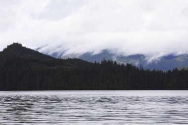 Neets Bay, Alaska / Usa - 18 Ağustos 2019: Neets Bay kıyı şeridi manzarası, Neets Bay, Alaska, Usa