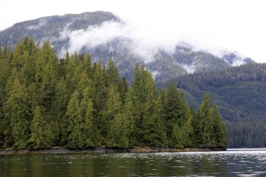 Neets Bay, Alaska / Usa - 18 Ağustos 2019: Neets Bay kıyı şeridi manzarası, Neets Bay, Alaska, Usa
