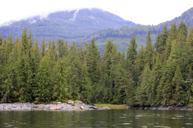 Neets Bay, Alaska / Usa - 18 Ağustos 2019: Neets Bay kıyı şeridi manzarası, Neets Bay, Alaska, Usa