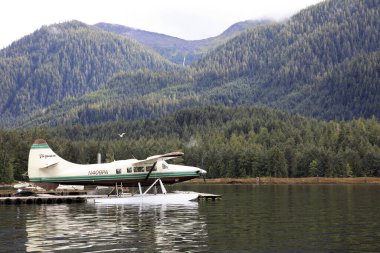 Neets Bay, Alaska / Usa - 18 Ağustos 2019: Neets Bay, Neets Bay, Alaska, Usa 'da bir deniz uçağı