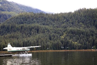Neets Bay, Alaska / Usa - 18 Ağustos 2019: Neets Bay, Neets Bay, Alaska, Usa 'da bir deniz uçağı
