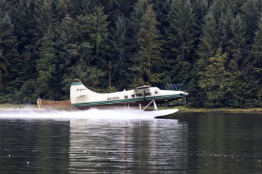 Neets Bay, Alaska / Usa - 18 Ağustos 2019: Neets Bay, Neets Bay, Alaska, Usa 'da bir deniz uçağı