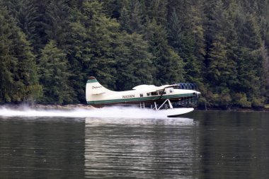 Neets Bay, Alaska / Usa - 18 Ağustos 2019: Neets Bay, Neets Bay, Alaska, Usa 'da bir deniz uçağı