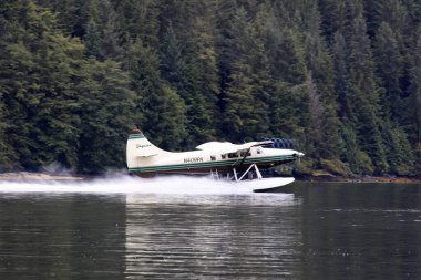 Neets Bay, Alaska / Usa - 18 Ağustos 2019: Neets Bay, Neets Bay, Alaska, Usa 'da bir deniz uçağı