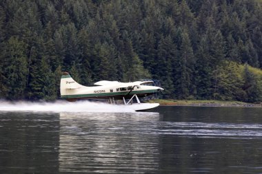 Neets Bay, Alaska / Usa - 18 Ağustos 2019: Neets Bay, Neets Bay, Alaska, Usa 'da bir deniz uçağı