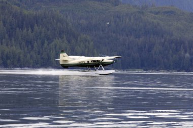 Neets Bay, Alaska / Usa - 18 Ağustos 2019: Neets Bay, Neets Bay, Alaska, Usa 'da bir deniz uçağı