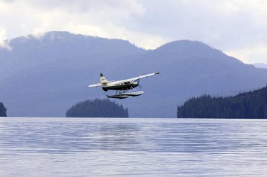 Neets Bay, Alaska / Usa - 18 Ağustos 2019: Neets Bay, Neets Bay, Alaska, Usa 'da bir deniz uçağı