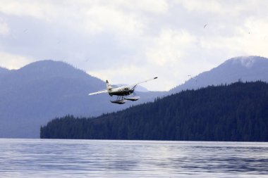 Neets Bay, Alaska / Usa - 18 Ağustos 2019: Neets Bay, Neets Bay, Alaska, Usa 'da bir deniz uçağı