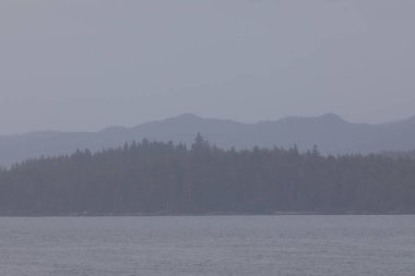 Inside Passage, Alaska / Usa - 18 Ağustos 2019: Passage kıyı şeridinin iç kesimi, Alaska, Usa