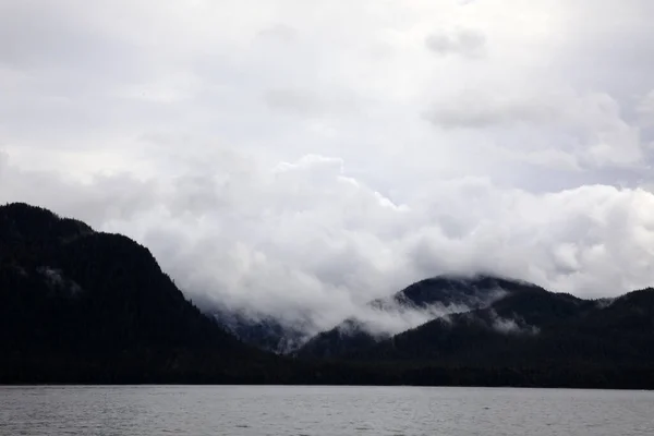 Neets Bay Alaska Usa Agosto 2019 Paisagem Costeira Neets Bay — Fotografia de Stock