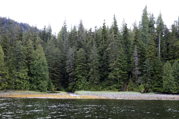 Neets Bay Alaska États Unis Août 2019 Paysage Côtier Neets — Photo