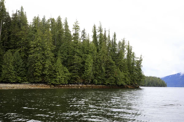 Neets Bay Alaszka Egyesült Államok 2019 Augusztus Neets Bay Tengerparti — Stock Fotó