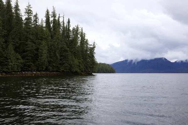 Neets Bay Alaska Usa August 2019 Neets Bay Coastline Landscape — Stock Photo, Image