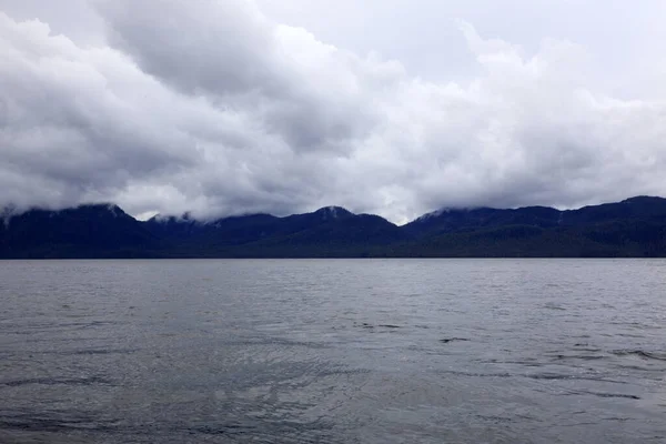 Neets Bay Alaska Usa Sierpnia 2019 Krajobraz Wybrzeża Neets Bay — Zdjęcie stockowe