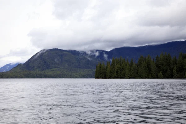 Neets Bay Alaska Usa Agosto 2019 Paisagem Costeira Neets Bay — Fotografia de Stock